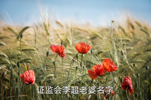 證監(jiān)會(huì)李超老婆名字