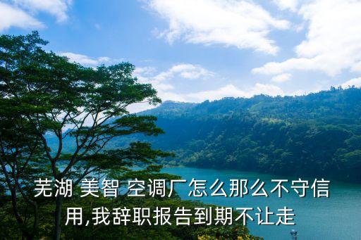 美的集團蕪湖美智空調(diào)設備有限公司
