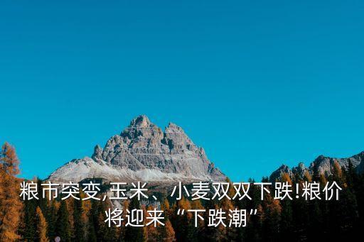 糧市突變,玉米、小麥雙雙下跌!糧價將迎來“下跌潮”
