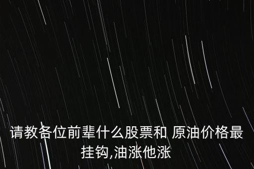 請教各位前輩什么股票和 原油價(jià)格最掛鉤,油漲他漲