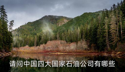 中化集團(tuán)與中海油比較,中海油和中化集團(tuán)哪個(gè)級別高?
