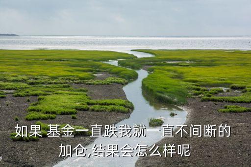 如果 基金一直跌我就一直不間斷的 加倉,結(jié)果會(huì)怎么樣呢