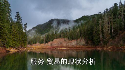 中國服務(wù)貿(mào)易發(fā)展趨勢,服務(wù)貿(mào)易發(fā)展趨勢體現(xiàn)當前國際貿(mào)易哪些特征