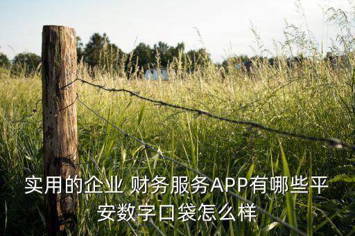 實用的企業(yè) 財務服務APP有哪些平安數字口袋怎么樣