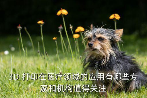 3D 打印在醫(yī)療領(lǐng)域的應(yīng)用有哪些專(zhuān)家和機(jī)構(gòu)值得關(guān)注