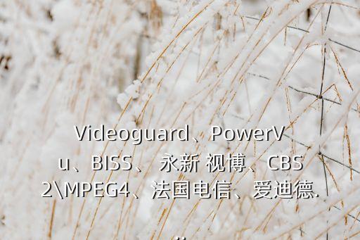 Videoguard、PowerVu、BISS、 永新 視博、CBS2\MPEG4、法國電信、愛迪德...