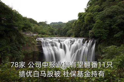 78家 公司中報(bào)業(yè)績(jī)有望翻番11只績(jī)優(yōu)白馬股被 社?；鸪钟? class=