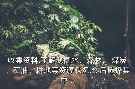 收集資料,了解我國水、森林、 煤炭、石油、耕地等資源狀況,然后選擇其中...