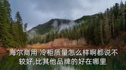  海爾商用 冷柜質量怎么樣啊都說不較好,比其他品牌的好在哪里