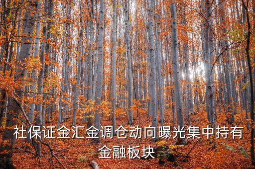 2014年二季度社?；鹬貍}股票