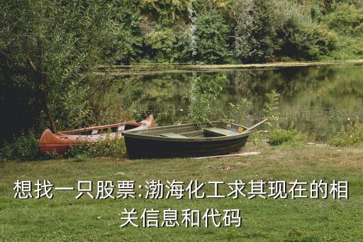 想找一只股票:渤?；で笃洮F(xiàn)在的相關(guān)信息和代碼