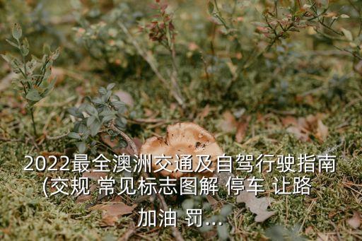 2022最全澳洲交通及自駕行駛指南(交規(guī) 常見(jiàn)標(biāo)志圖解 停車(chē) 讓路 加油 罰...