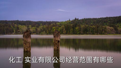  化工 實業(yè)有限公司經營范圍有哪些