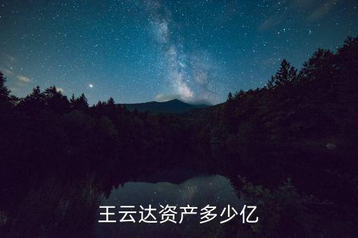 王云達資產多少億