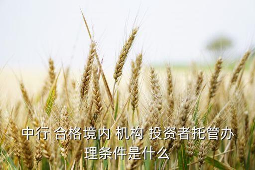 中行 合格境內(nèi) 機(jī)構(gòu) 投資者托管辦理條件是什么