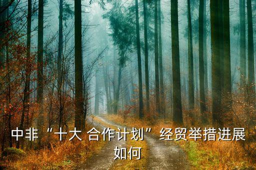 中非“十大 合作計劃”經(jīng)貿舉措進展如何