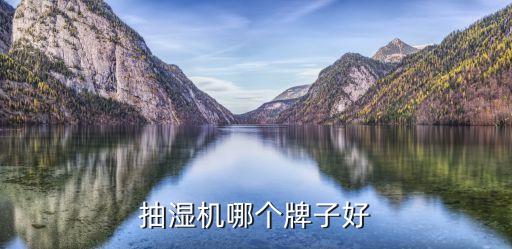 抽濕機(jī)哪個牌子好