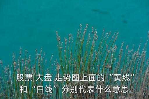  股票 大盤(pán) 走勢(shì)圖上面的“黃線”和“白線”分別代表什么意思