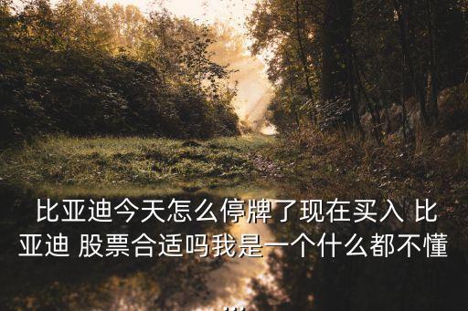  比亞迪今天怎么停牌了現(xiàn)在買(mǎi)入 比亞迪 股票合適嗎我是一個(gè)什么都不懂...