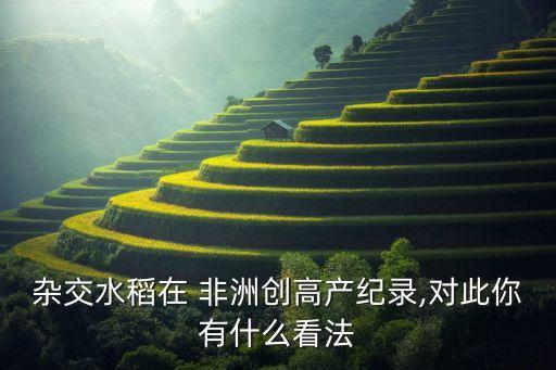 雜交水稻在 非洲創(chuàng)高產(chǎn)紀錄,對此你有什么看法