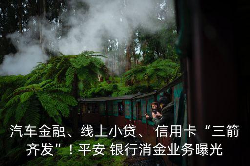 汽車金融、線上小貸、 信用卡“三箭齊發(fā)”! 平安 銀行消金業(yè)務(wù)曝光