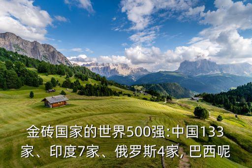 金磚國家的世界500強:中國133家、印度7家、俄羅斯4家, 巴西呢