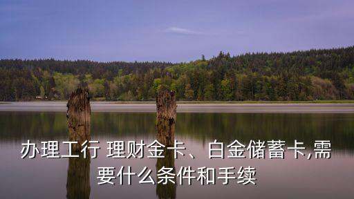 辦理工行 理財(cái)金卡、白金儲(chǔ)蓄卡,需要什么條件和手續(xù)