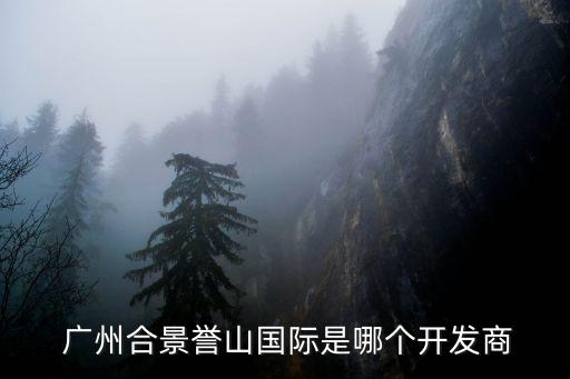  廣州合景譽(yù)山國(guó)際是哪個(gè)開發(fā)商