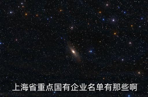  上海省重點國有企業(yè)名單有那些啊