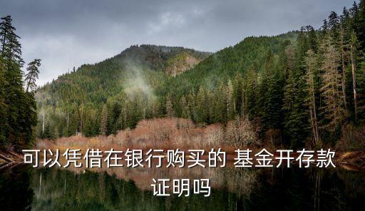 可以憑借在銀行購(gòu)買的 基金開存款 證明嗎