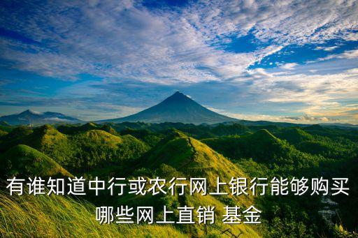 有誰知道中行或農(nóng)行網(wǎng)上銀行能夠購(gòu)買哪些網(wǎng)上直銷 基金