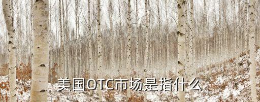 美國OTC市場(chǎng)是指什么