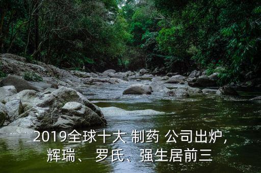 2019全球十大 制藥 公司出爐,輝瑞、 羅氏、強(qiáng)生居前三
