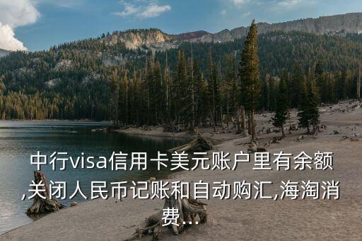 中行visa信用卡美元賬戶里有余額,關(guān)閉人民幣記賬和自動購匯,海淘消費(fèi)...
