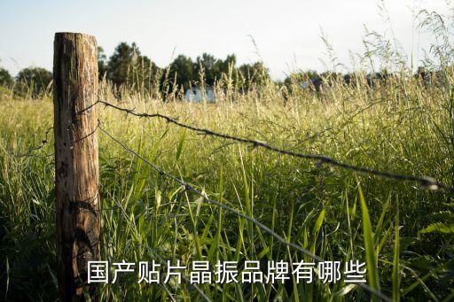 國(guó)產(chǎn)貼片晶振品牌有哪些