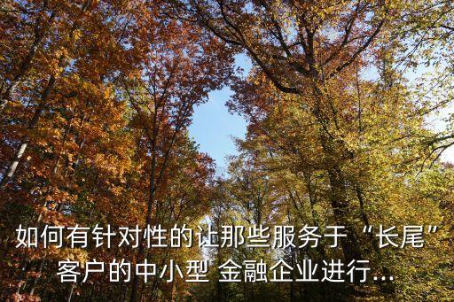如何有針對(duì)性的讓那些服務(wù)于“長(zhǎng)尾”客戶(hù)的中小型 金融企業(yè)進(jìn)行...