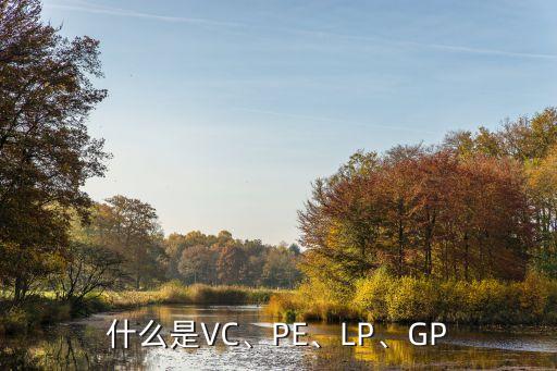 什么是VC、PE、LP、GP