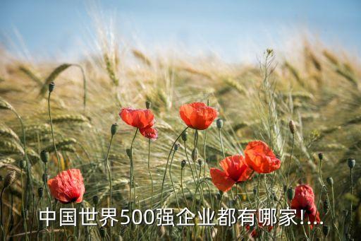 中國世界500強(qiáng)企業(yè)都有哪家!…