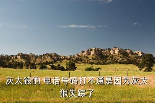 灰太狼的 電話號碼打不通是因?yàn)榛姨鞘й櫫? class=