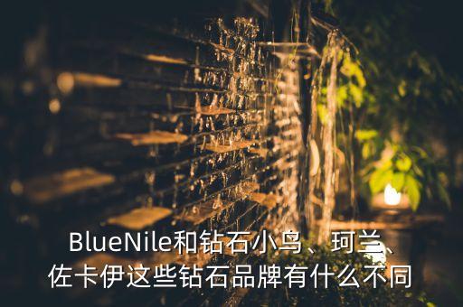 BlueNile和鉆石小鳥、珂蘭、佐卡伊這些鉆石品牌有什么不同