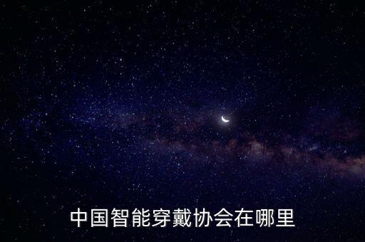 藍(lán)海國(guó)際控股有限公司,深圳中電藍(lán)?？毓捎邢薰靖笨偨?jīng)理