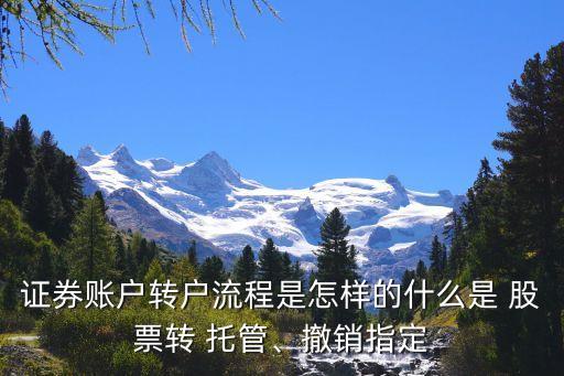 滬市股票托管,股票被托管轉出了怎么辦