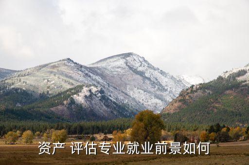 河南中聯(lián)資產(chǎn)評估有限公司招聘,中聯(lián)資產(chǎn)評估集團(tuán)有限公司是國企嗎