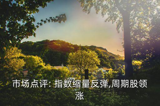 市場點評: 指數(shù)縮量反彈,周期股領漲
