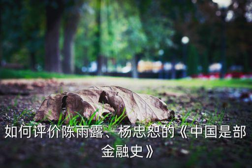 如何評(píng)價(jià)陳雨露、楊忠恕的《中國(guó)是部 金融史》