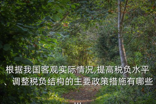 根據(jù)我國客觀實際情況,提高稅負水平、調(diào)整稅負結(jié)構(gòu)的主要政策措施有哪些...
