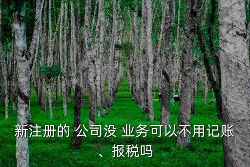 新注冊的 公司沒 業(yè)務(wù)可以不用記賬、報(bào)稅嗎