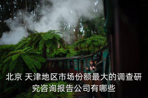 北京 天津地區(qū)市場(chǎng)份額最大的調(diào)查研究咨詢(xún)報(bào)告公司有哪些