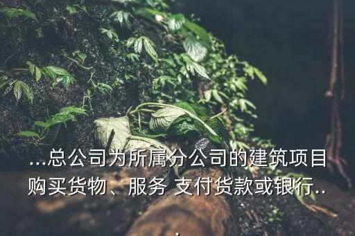 ...總公司為所屬分公司的建筑項(xiàng)目購買貨物、服務(wù) 支付貨款或銀行...