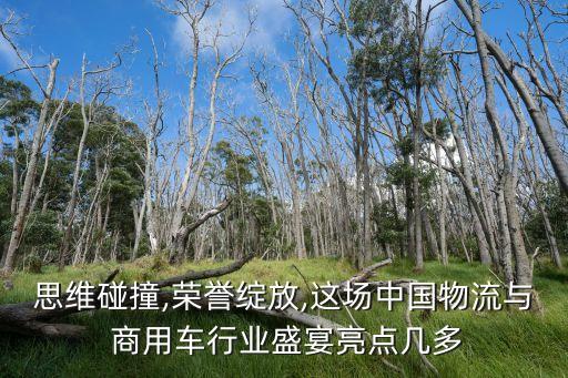 思維碰撞,榮譽(yù)綻放,這場中國物流與 商用車行業(yè)盛宴亮點(diǎn)幾多